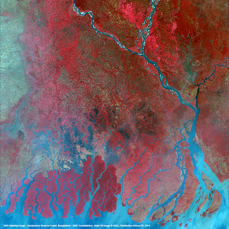 DMC星座卫星图像 -  Sundarbans Reserve Forest，Bengladesh